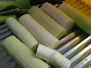 Rezept: Gefüllter Porree Bild Nr. 5 Gefüllter Porree - Rezept - Bild Nr. 5