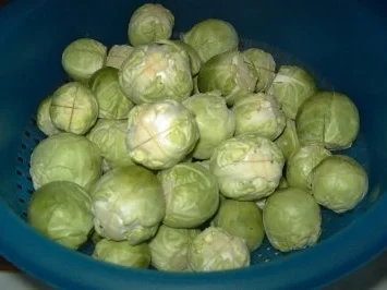 Rosenkohl, gebraten - Rezept - Bild Nr. 2