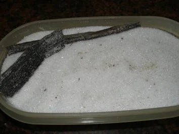 Diverses:    BOURBON-Vanillezucker selbstgemacht - Rezept