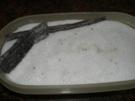 Diverses:    BOURBON-Vanillezucker selbstgemacht - Rezept