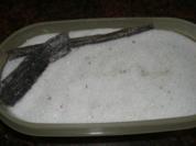 Diverses:    BOURBON-Vanillezucker selbstgemacht - Rezept