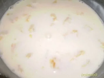  Honig - Joghurt mit Orangen - Rezept - Bild Nr. 6