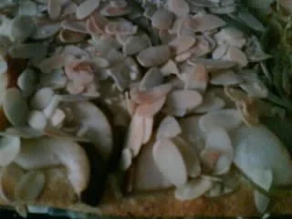 Rezept: Schneller Obstkuchen vom Blech Bild Nr. 4 Schneller Obstkuchen vom Blech - Rezept - Bild Nr. 4