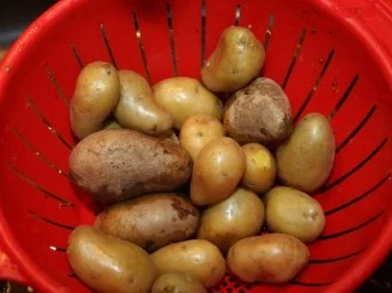 Rezept: Kartoffelwedges oder Farmkartoffeln Bild Nr. 2 Kartoffelwedges oder Farmkartoffeln - Rezept - Bild Nr. 2