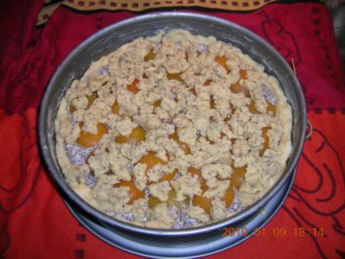 Aprikosen-Mohn-Kuchen - Rezept - Bild Nr. 2