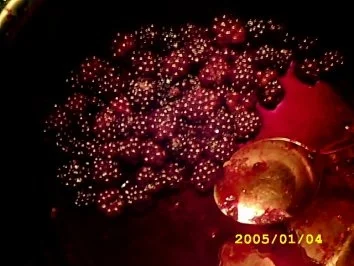 Rezept: Wenn die Tiefkühltrühe zickt Part 5.1: Brombeersirup Bild Nr. 2 Wenn die Tiefkühltrühe zickt Part 5.1: Brombeersirup - Rezept - Bild Nr. 2