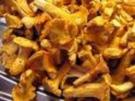 Sahneschnitzel mit Pfifferlinge - Rezept