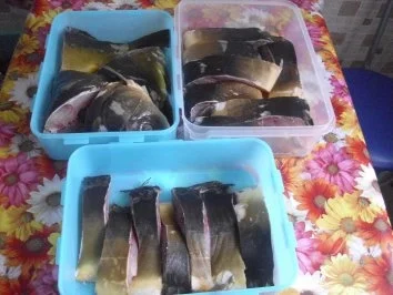 Rezept: Karpfen blau - Rotkraut - Salzkartoffeln Bild Nr. 3 Karpfen blau - Rotkraut - Salzkartoffeln - Rezept - Bild Nr. 3