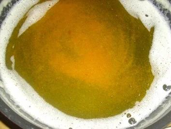 Rezept: Karpfen blau - Rotkraut - Salzkartoffeln Bild Nr. 8 Karpfen blau - Rotkraut - Salzkartoffeln - Rezept - Bild Nr. 8