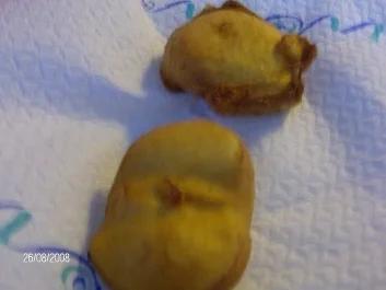 Rezept: Apfelküchlein Bild Nr. 3 Apfelküchlein - Rezept - Bild Nr. 3