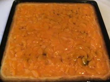 BLECHKUCHEN - Quarkkuchen mit Mandarinendecke - Rezept