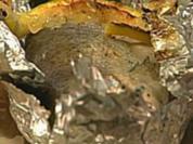 Forelle in Alufolie - Rezept