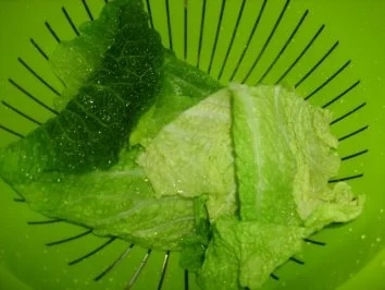 Rezept: Wirsingpäckchen Bild Nr. 3 Wirsingpäckchen - Rezept - Bild Nr. 3