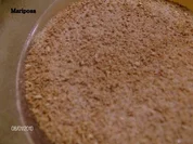 Selleriesalz selbstgemacht - Rezept