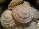 ** Ägyptisch ** Maamoul Kekse - Rezept