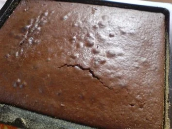 Rezept: Mooskuchen Bild Nr. 4 Mooskuchen - Rezept - Bild Nr. 4