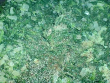 Rezept: Pellkartoffeln mit Spinat und Spiegelei Bild Nr. 6 Pellkartoffeln mit Spinat und Spiegelei - Rezept - Bild Nr. 6