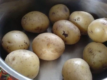 Seelachsfilet auf Spinatbett - Rezept - Bild Nr. 12