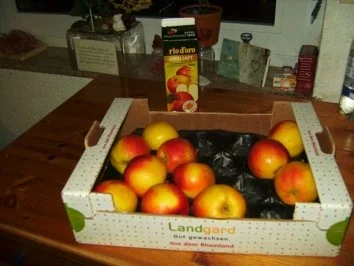 Apfel - Kompott - Rezept