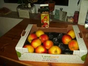 Apfel - Kompott - Rezept