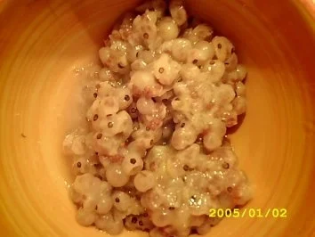 Rezept: Wenn die Tiefkühltruhe zickt Part 6.1: schwimmernder Froschlaich Bild Nr. 2 Wenn die Tiefkühltruhe zickt Part 6.1: schwimmernder Froschlaich - Rezept - Bild Nr. 2