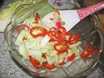 Chinakohl-Paprikasalat - Rezept