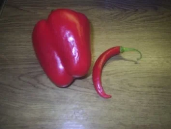 Geflügel - Hähnchenbrustfilet in Weißwein-Sahnesoße - Rezept - Bild Nr. 8