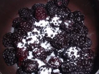 Marseis auf heißen Brombeeren und Sahnetupfer - Rezept - Bild Nr. 3