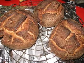 Rezept: kleine Roggenmischbrote für Wildgulaschsuppe kleine Roggenmischbrote für Wildgulaschsuppe - Rezept