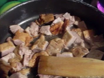 Rezept: Enten-Drachentopf Enten-Drachentopf - Rezept