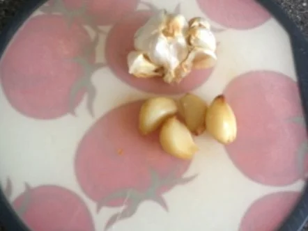 Tomatensuppe - Rezept - Bild Nr. 6