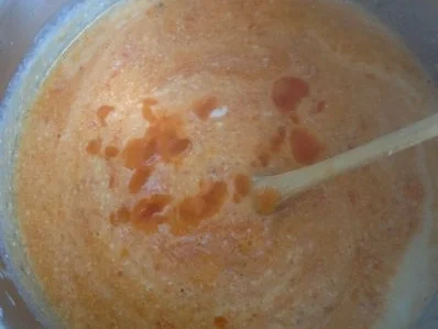 Tomatensuppe - Rezept - Bild Nr. 14