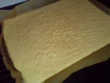 Rezept: Fürst-Pückler-Kuchen Bild Nr. 16 Fürst-Pückler-Kuchen - Rezept - Bild Nr. 16