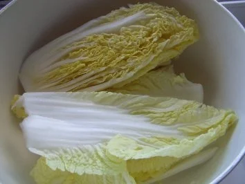 Rezept: Chinakohl mit Frühlingskräutern Bild Nr. 3 Chinakohl mit Frühlingskräutern - Rezept - Bild Nr. 3