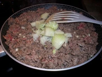 Rezept: Teufelchens Lasagne Bild Nr. 2 Teufelchens Lasagne - Rezept - Bild Nr. 2