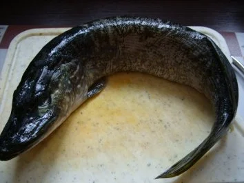 Hecht auf Gemüsebett - Rezept - Bild Nr. 2