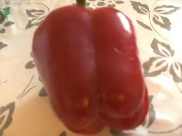 Rezept: Mandarinen-Sahne-Soße- mit Geflügelbrüstchen Bild Nr. 3 Mandarinen-Sahne-Soße- mit Geflügelbrüstchen - Rezept - Bild Nr. 3