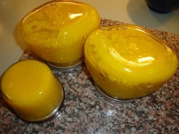 Mangomus - Rezept - Bild Nr. 6