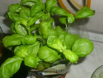 Rezept: Bunter Nudelsalat mit Thunfisch Bild Nr. 8 Bunter Nudelsalat mit Thunfisch - Rezept - Bild Nr. 8