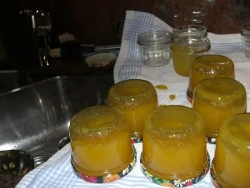 Rezept: M+G: ANANAS / MANGO - Marmelade Bild Nr. 10 M+G: ANANAS / MANGO - Marmelade - Rezept - Bild Nr. 10