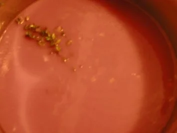 Kräuterknödel mit Tomaten-Champignon-Sauce - Rezept - Bild Nr. 4