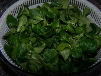 Rezept: Warmer Lachs auf Feldsalat Bild Nr. 3 Warmer Lachs auf Feldsalat - Rezept - Bild Nr. 3