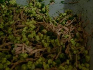 Rezept: Käse-Wurst-Salat Käse-Wurst-Salat - Rezept