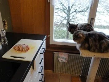 Warm eingepackte Hähnchenbrust - Rezept - Bild Nr. 8