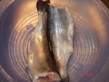 Forelle im Päckchen - Rezept - Bild Nr. 2