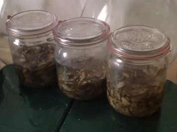 Reiberdatschi mit Pilzrahmsoße - Rezept - Bild Nr. 4