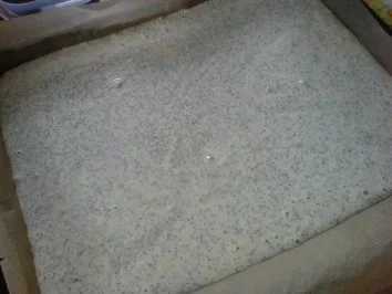 Mandarinen-Mohnbiskuit-Kuchen - Rezept - Bild Nr. 9