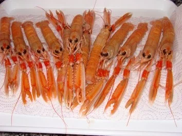 Rezept: Meeresfrüchte - Langostinos - Chipirones Pfanne - Bild Nr. 3 Meeresfrüchte - Langostinos - Chipirones Pfanne - - Rezept - Bild Nr. 3