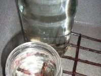 Rezept: Mango-Konfitüre mit Kiwi und Limette Bild Nr. 8 Mango-Konfitüre mit Kiwi und Limette - Rezept - Bild Nr. 8