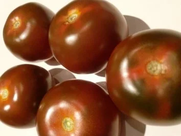 Medaillons vom Thunfisch "Rot-Weiß" - Rezept - Bild Nr. 2